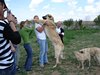 DSC00847