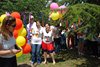 DSC03481
